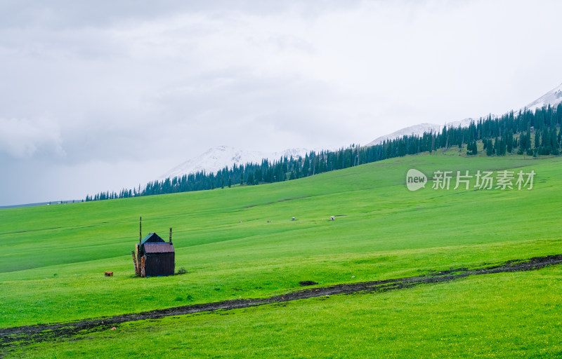 新疆伊犁那拉提雪山下草原上的小木屋