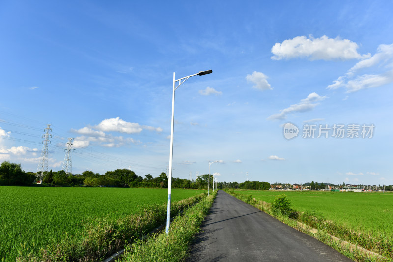 美丽乡村蓝天白云水稻田