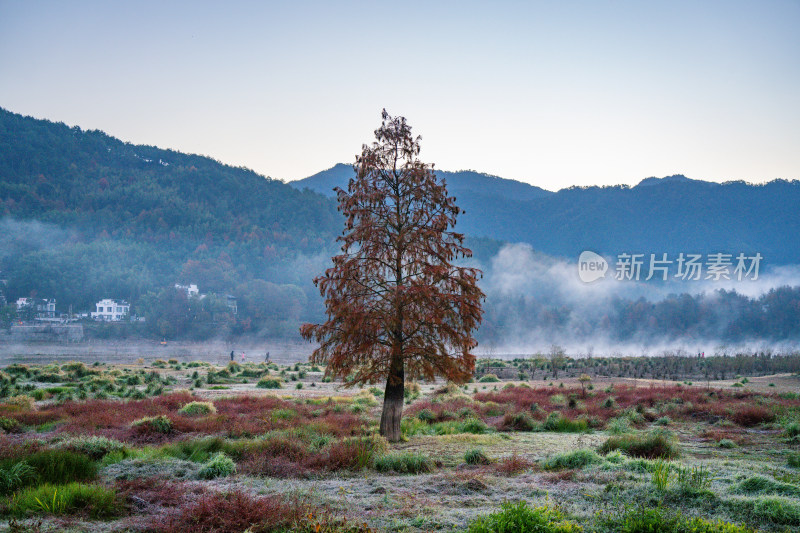 徽州黄山黟县皖南徽派建筑秋色奇墅湖仙境