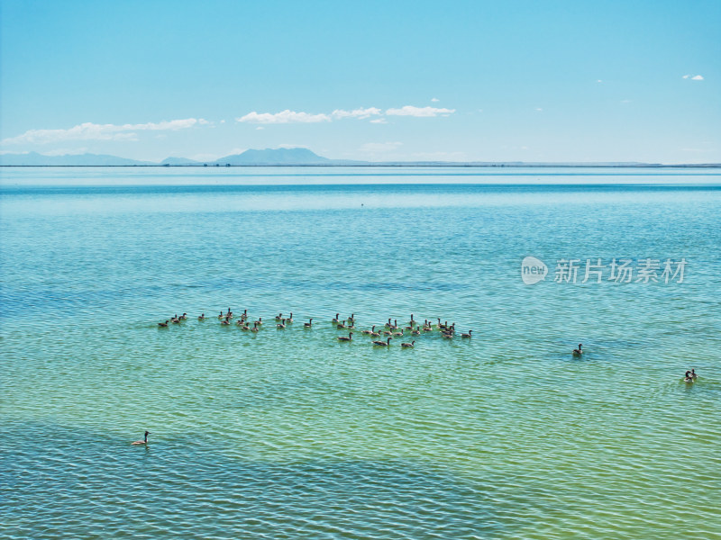 甘肃可鲁克湖的风光美景