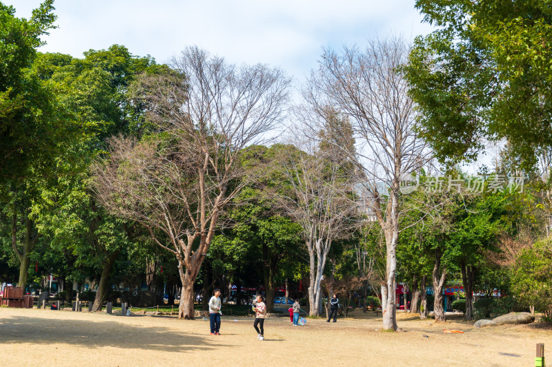 福州春天绿意盎然的冶山春秋公园景色