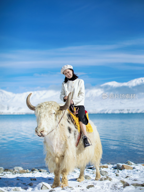 雪山湖泊蓝天白云美女坐在牦牛上