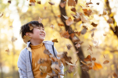 秋天户外男孩玩树叶