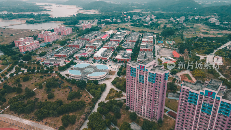 仰恩大学