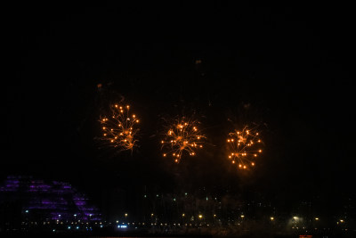 夜空绽放的绚烂烟花