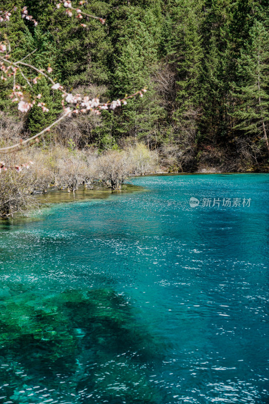 九寨沟的清澈湖水景观