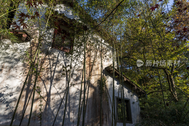 杭州西湖九溪风景区秋天风景