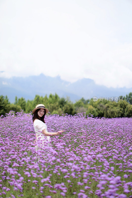 在薰衣草花海里的年轻女人