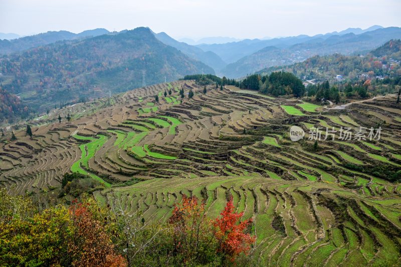 重庆酉阳：丁市镇农旅结合展新颜