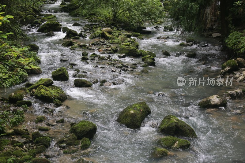 重庆仙女山景区风光