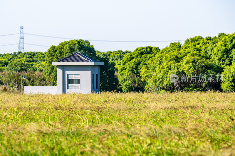 上海嘉北郊野公园河流水稻田园稻田自然景观