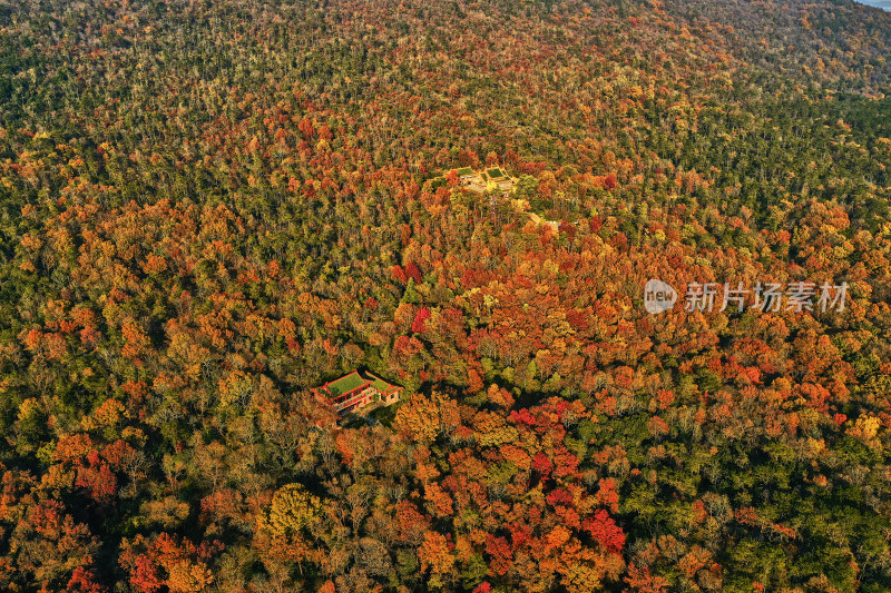 南京钟山的秋天美景