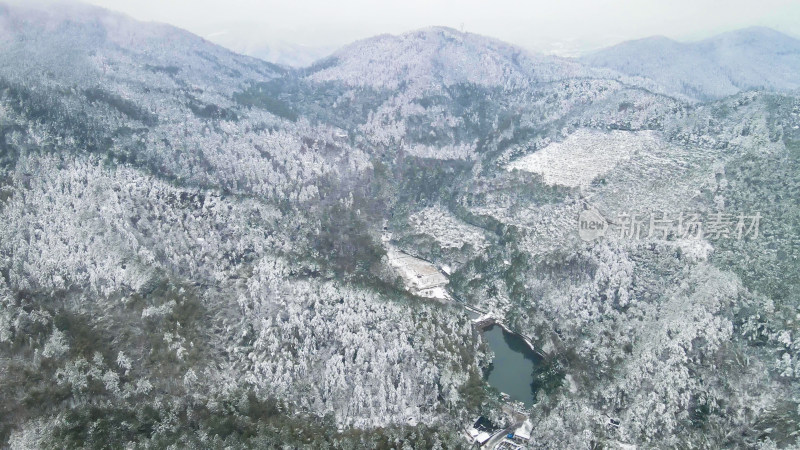 航拍绿色植物森林冬天雪景