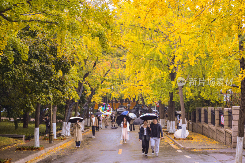 青岛八大关风景区风光