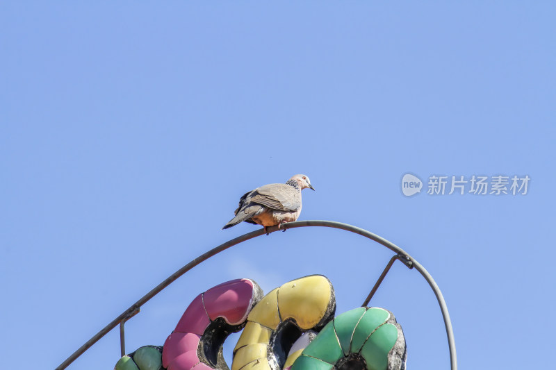 潮州开元古寺古建筑特写