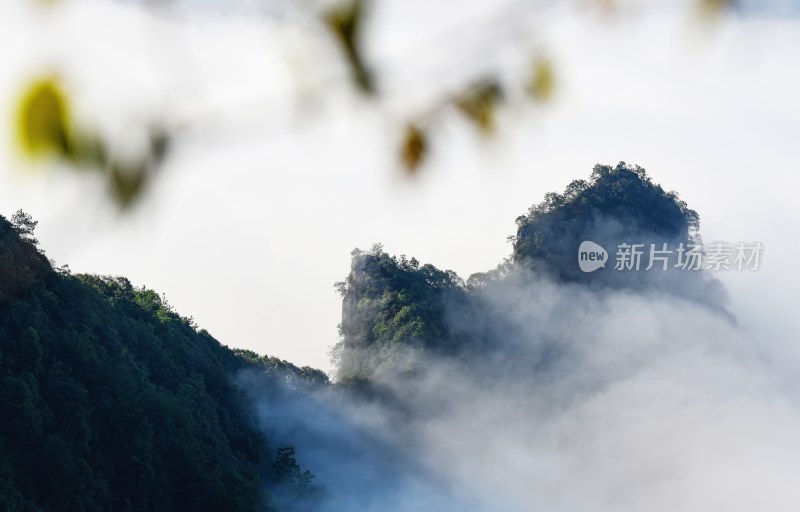 重庆酉阳：乌江青山白纱俏