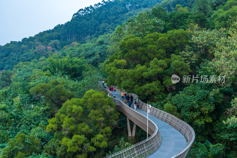 山林中栈道上的行人