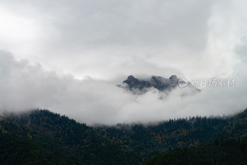 云雾中的森林山峰虎头山