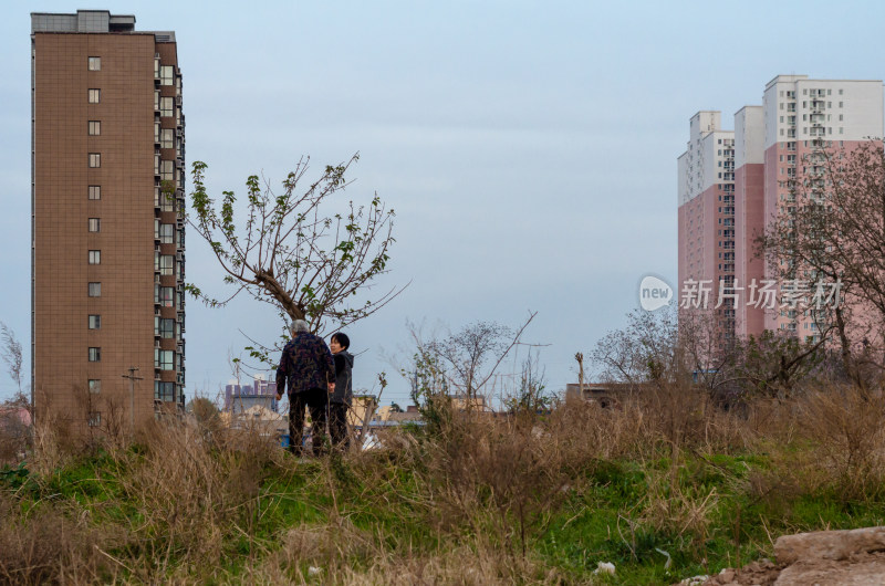 在郊外的树下交谈的两个老人的背影