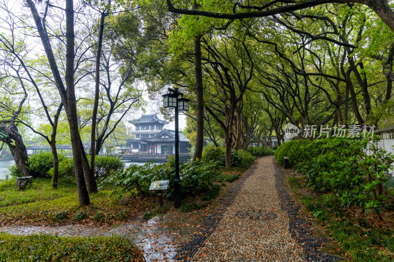 烟雨江南无锡蠡园春色