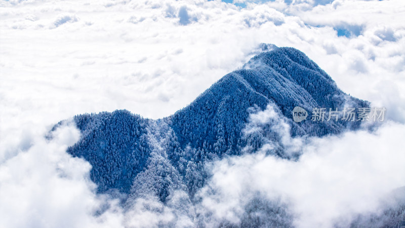 四川成都西岭雪山上空的云海群山航拍