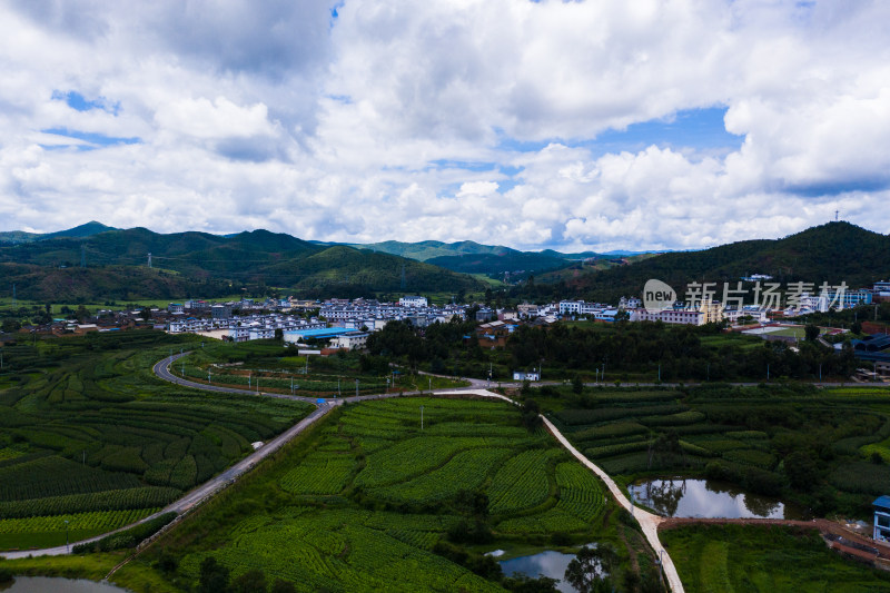 楚雄南华县雨露乡