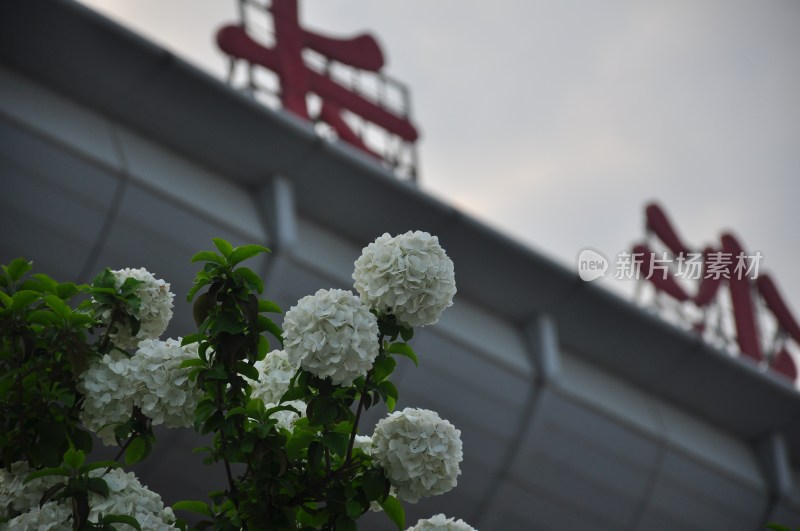 长沙风光  长沙街景 长沙城景  自然风景