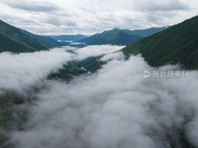 航拍夏季新疆喀纳斯山谷的晨雾