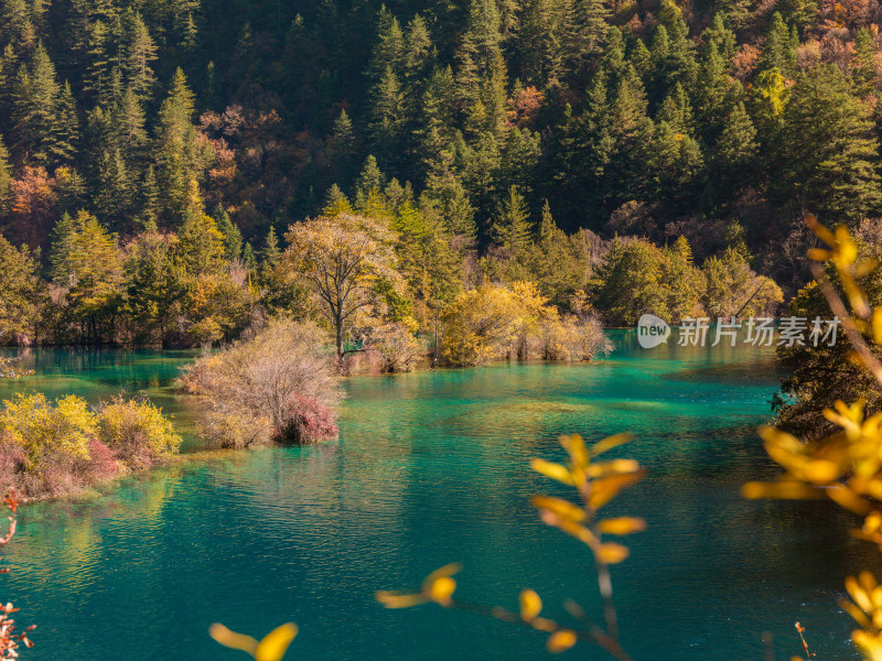 九寨沟秋景