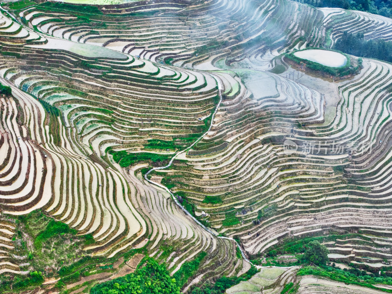 桂林龙脊梯田