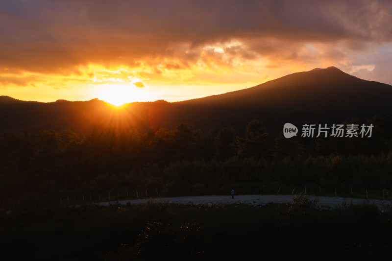 夕阳下的山林景观