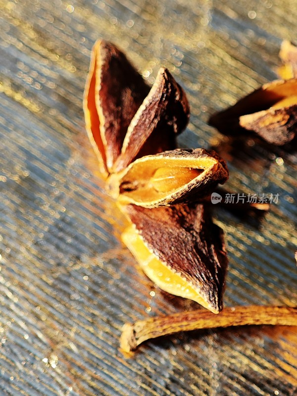 亮色背景下的干枯八角特写