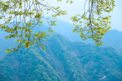 太白山自然风光