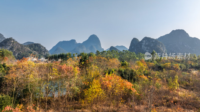 秋天阳光下桂林山边桃花江两岸的绿树和红叶