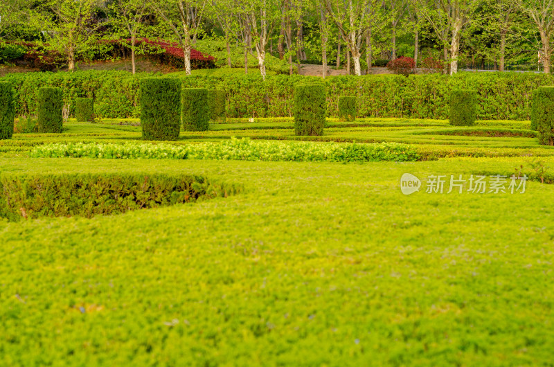 青岛中山公园的夏季