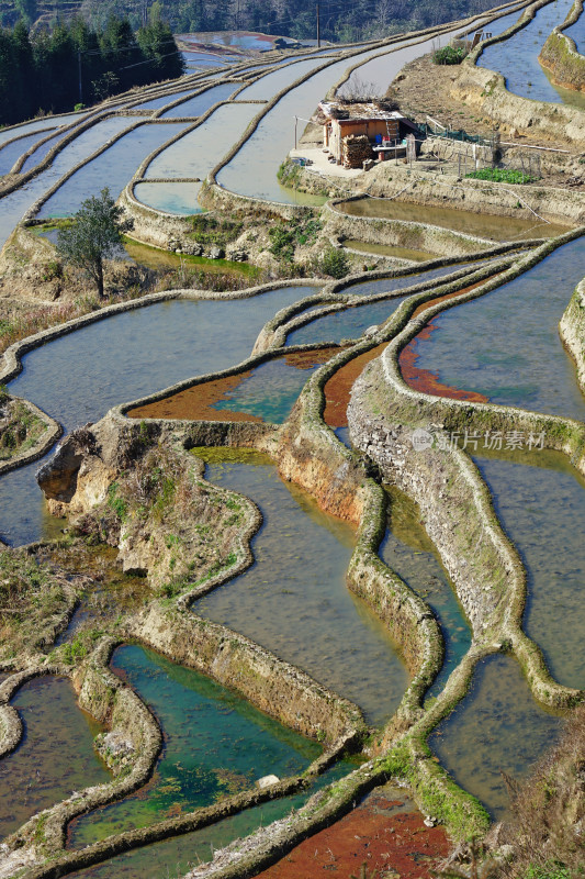 云南元阳梯田，灌水期，七彩梯田