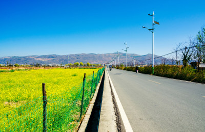 云南大理洱海乡村田地油菜花与水泥公路