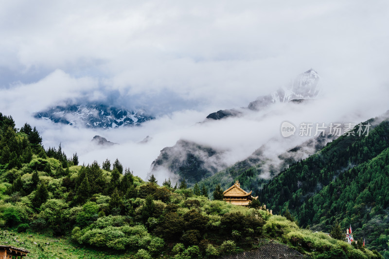 阿坝州四姑娘山长坪沟