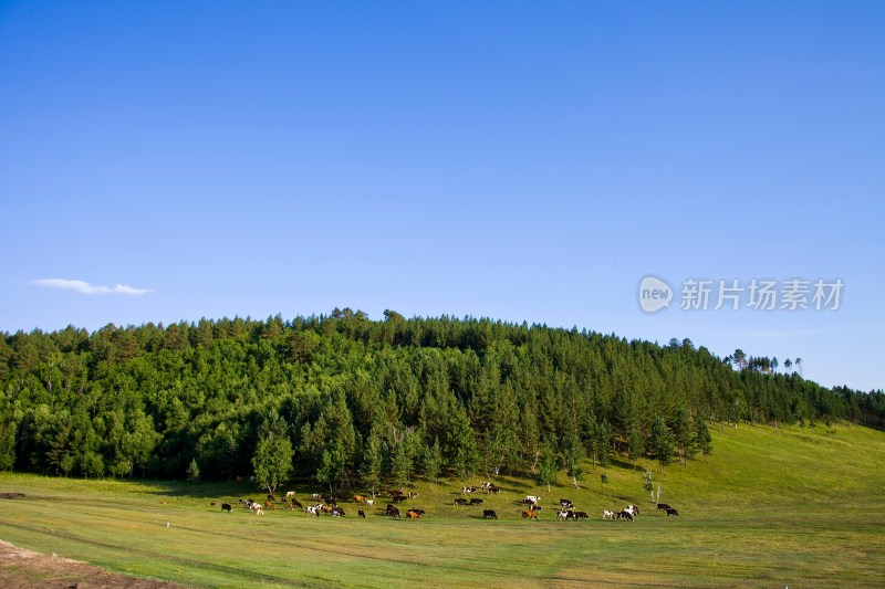 内蒙,阿尔山,