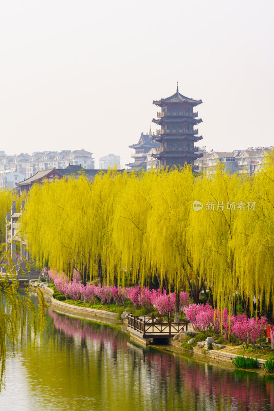 青州宋城春天风光