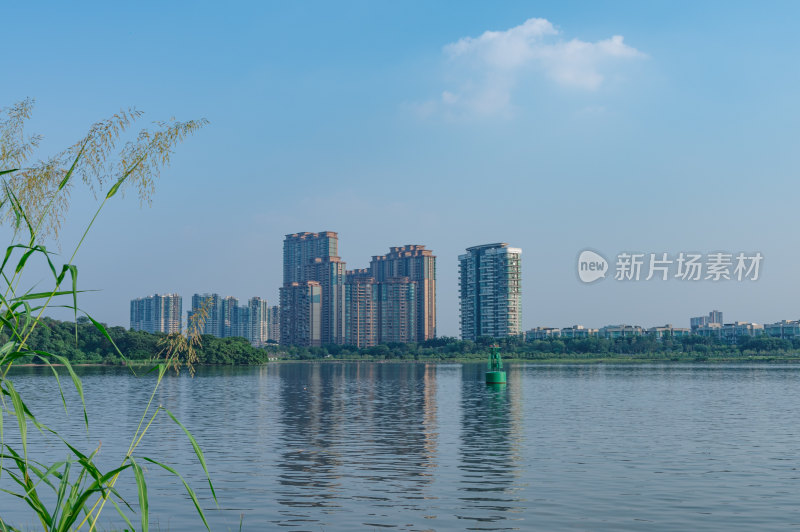 广州大学城珠江岸高楼住宅建筑与珠江景观