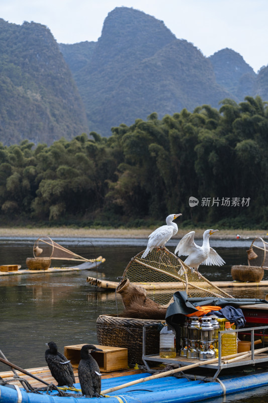 阳朔漓江船上鸬鹚人文风光