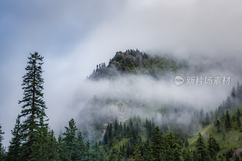 云雾缭绕下的绿色山谷高山草甸与云海