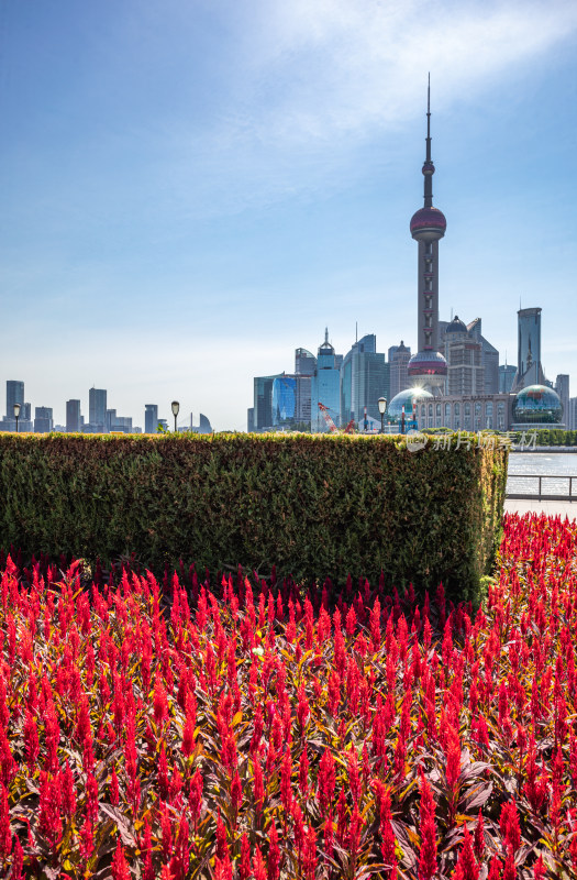 上海外滩外白渡桥陆家嘴黄浦江城市景观