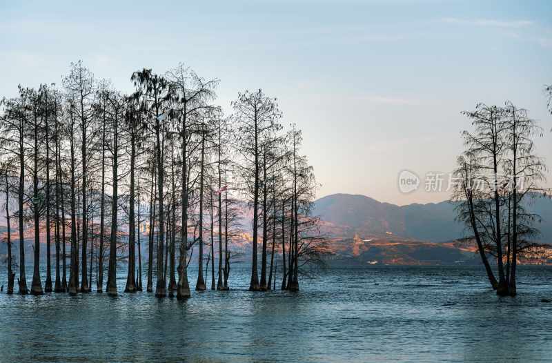 云南旅游大理洱海蒙自弥勒建水元阳梯田景区