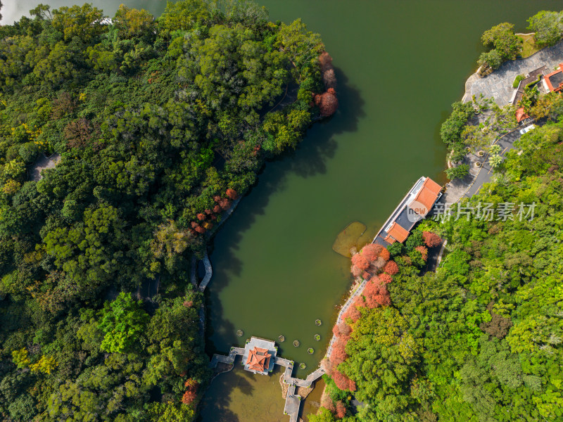 深圳仙湖植物园