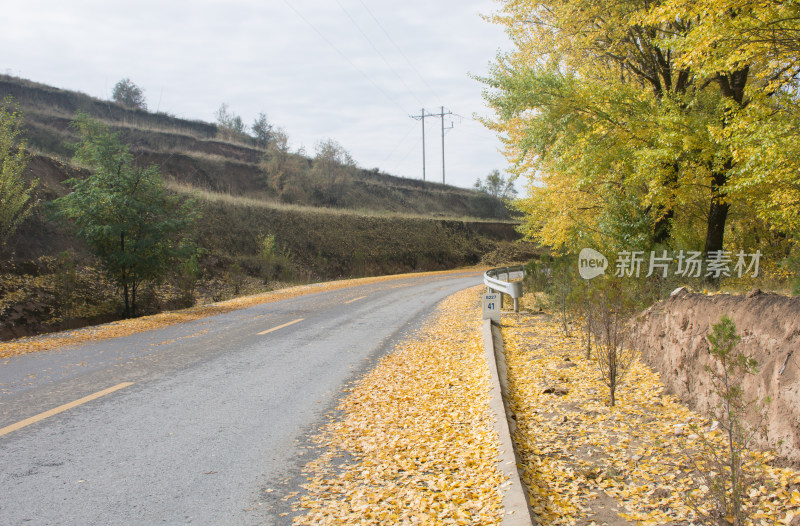 秋天的乡村公路