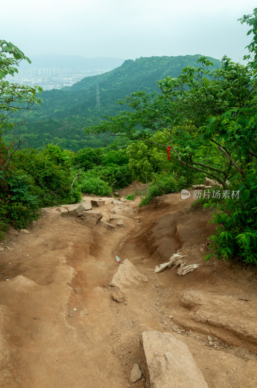 山中的自然风景