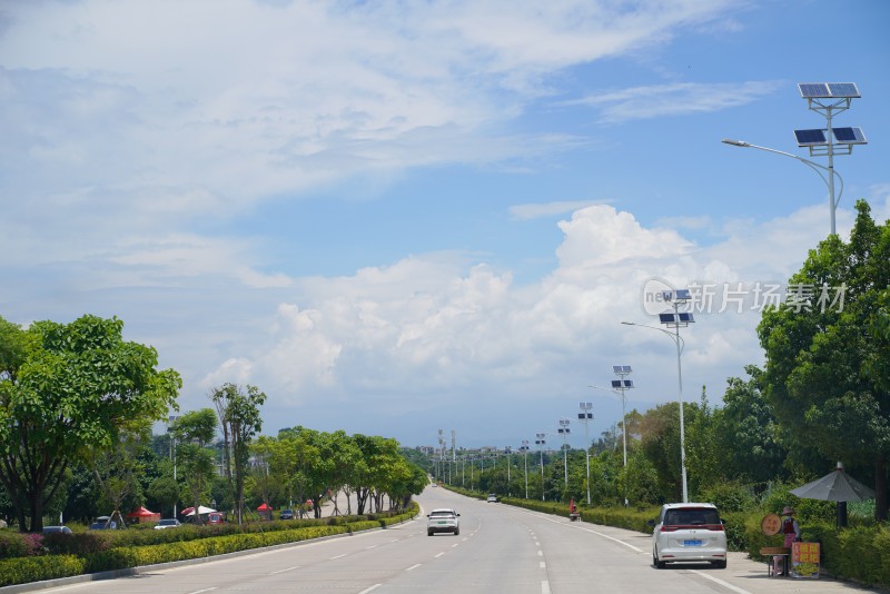 绿树成荫的宽阔公路景象