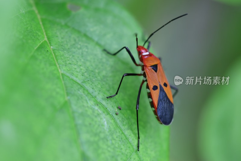 记录生活 花儿 虫儿 工作的人们 我们的世界